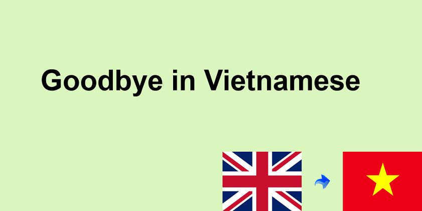 Saying “Tam biet” – The Most Common Way to Say Goodbye in Vietnamese